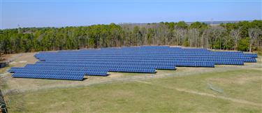 Solar field 